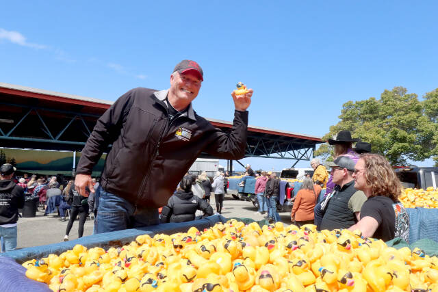 Bill Schlichting of Wilder Toyota holds up the rubber duck belonging to winner Colleen WIlliams of Port Angeles at the 36th annual Great Olympic Peninsula Duck Derby held at City Pier on Sunday. (Dave Logan/For Peninsula Daily News)
