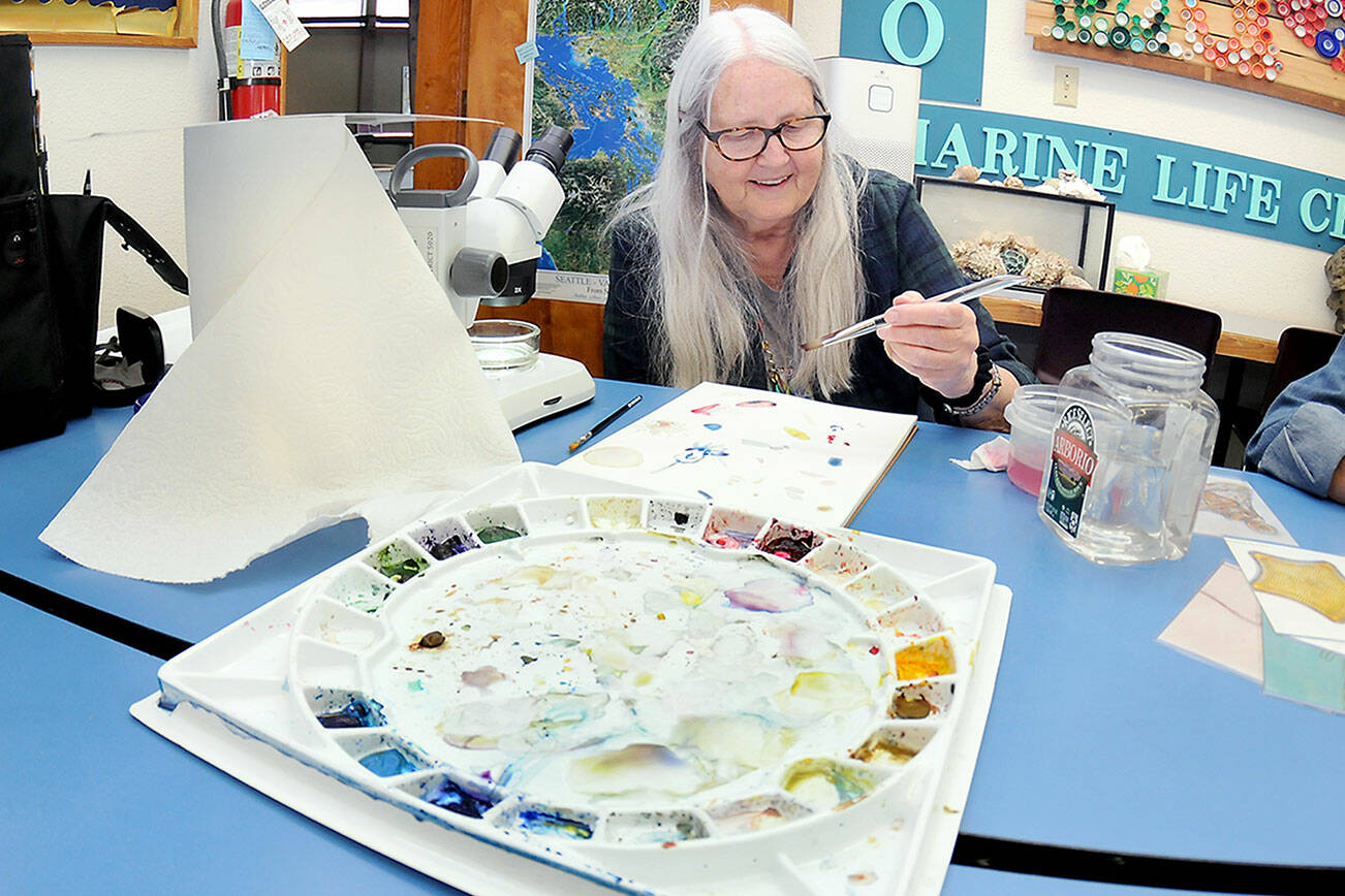KEITH THORPE/PENINSULA DAILY NEWS
Barbara Westrem of Sequim paints her impressions of microscopic marine creatures during an adult drawing class on Wednesday at Feiro Marine Life Center in Port Angeles. The class, “Through the Looking Glass!,” gives participants a chance to work with professional artists to create works based upon what they observe. More information can be found at https://feiromarinelifecenter.org/through-the-looking-glass-adult-drawing-class-with-microscopes/.