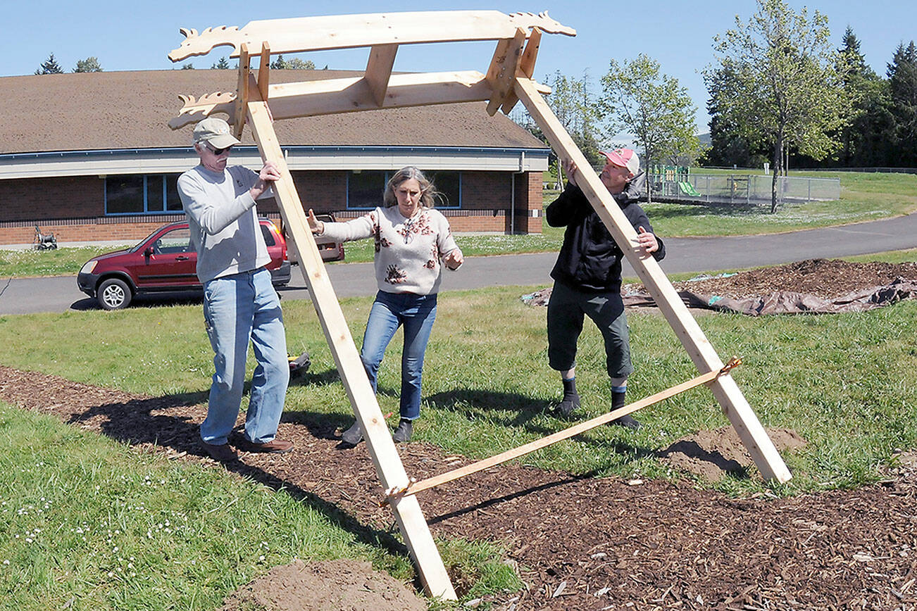 KEITH THORPE/PENINSULA DAILY NEWS
Woodworker Michael Clemens, left, with help from Christine Loewe, executive director of the Port Angeles Fine Arts Center, and fourth-grade teacher Tony Seidl, right, erect a dragon-themed arbor at the student garden at Dry Creek School on Thursday in Port Angeles.