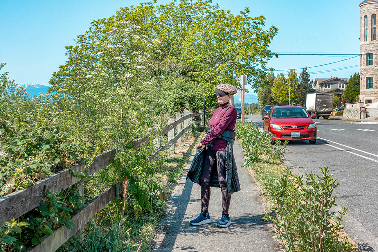 Lane Coney, who lives in Port Townsend, stops and looks at a flowering poison hemlock plant that extends over the sidewalk on Washington Street near the Port Townsend post office on Tuesday morning. Poison hemlock is a highly poisonous, flowering plant in the carrot family. All parts of the plant are toxic, especially when ingested. (Steve Mullensky/for Peninsula Daily News)