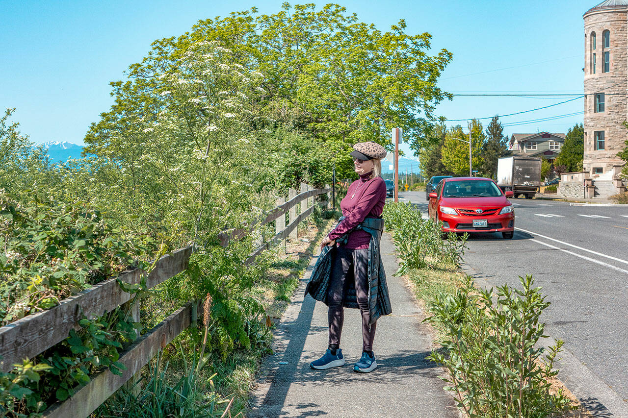 Lane Coney, who lives in Port Townsend, stops and looks at a flowering poison hemlock plant that extends over the sidewalk on Washington Street near the Port Townsend post office on Tuesday morning. Poison hemlock is a highly poisonous, flowering plant in the carrot family. All parts of the plant are toxic, especially when ingested. (Steve Mullensky/for Peninsula Daily News)