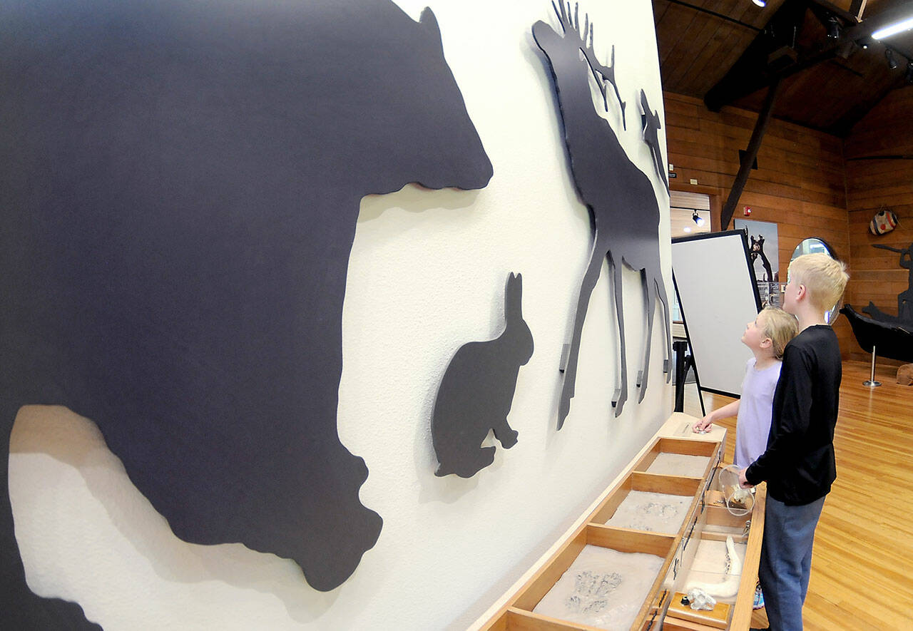 Aiden Murdoch, 11, and his sister, Sylvia Murdoch, 8, both of Akron, Ohio, examine a display of animal silhouettes, skulls and tracks on Friday at the Olympic National Park Visitor Center in Port Angeles. The pair were on a family vacation to the park with a stop at the visitor center. (Keith Thorpe/Peninsula Daily News)