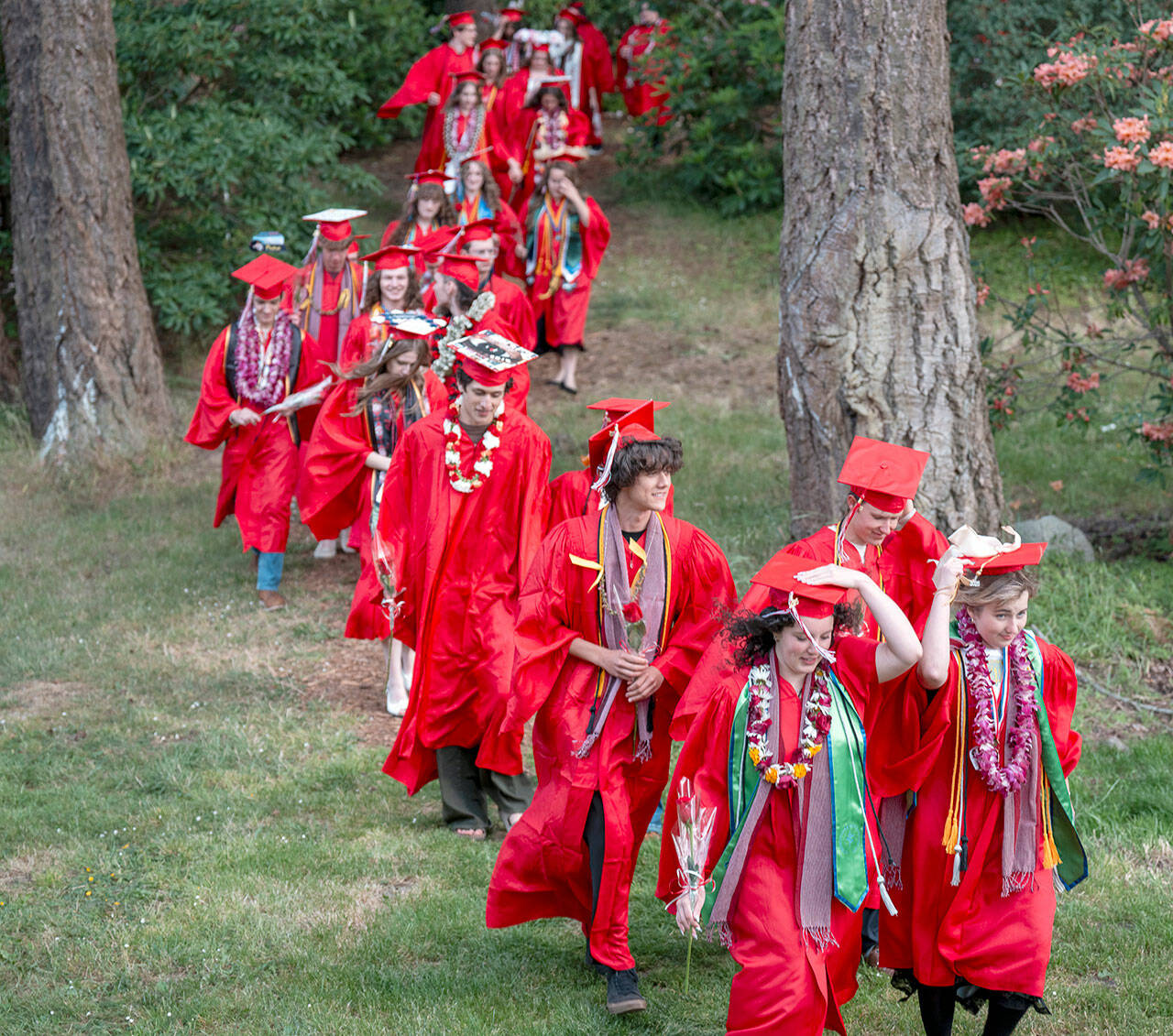 Cadence Harlan and Sophia Petta lead their class of 99 Port Townsend High School graduating seniors through the Rhododendron Garden at Fort Worden State Park on Friday for their graduation ceremony at McCurdy Pavilion. (Steve Mullensky/for Peninsula Daily News)