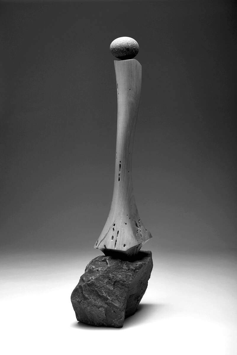 Traveling with Dignity by Len Zeoli