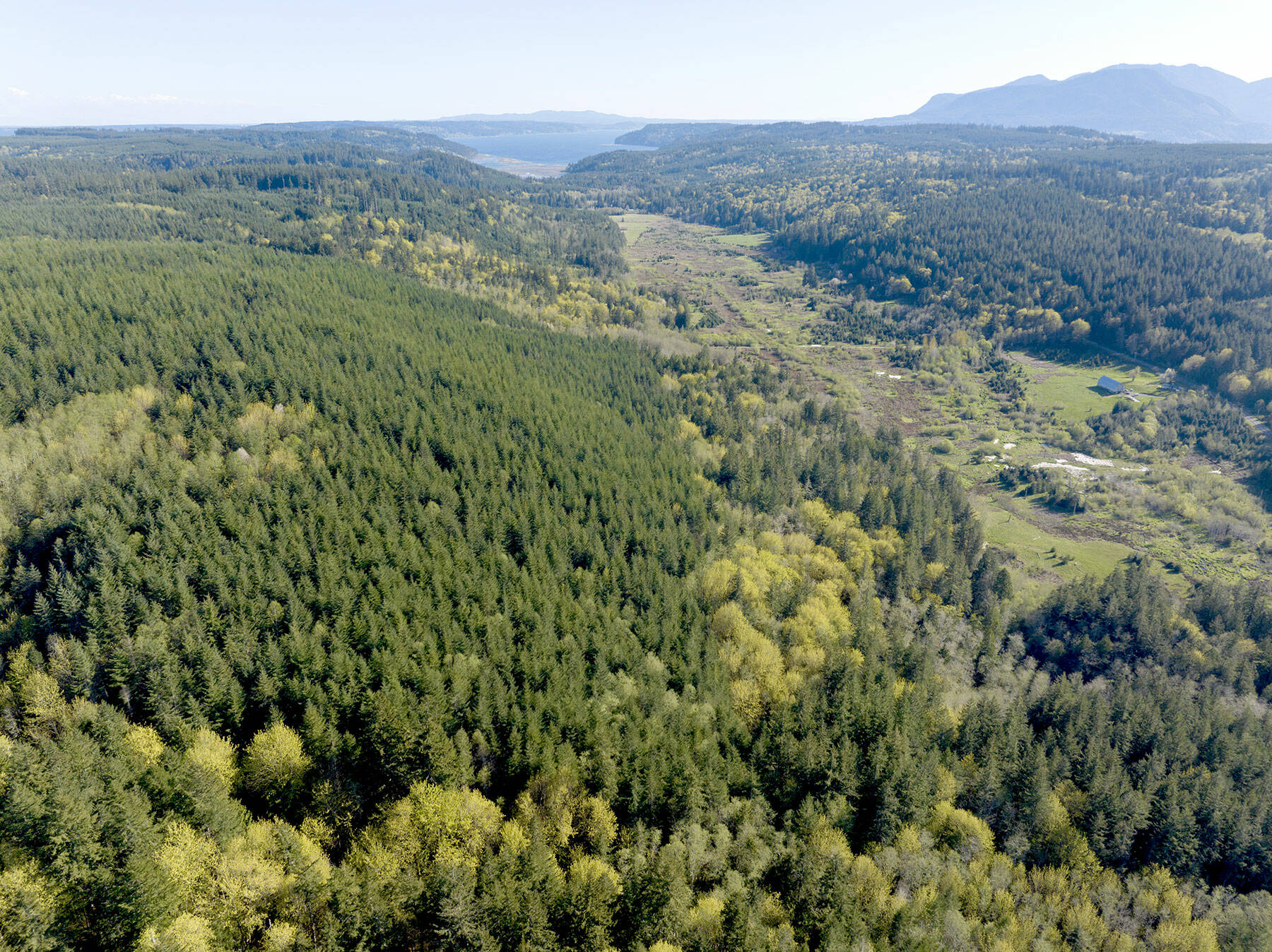 The Northwest Watershed Institute purchased 81 acres for conservation and stewardship in the Tarboo Valley for inclusion in its 500-acre Tarboo Wildlife Preserve. (John Gussman)