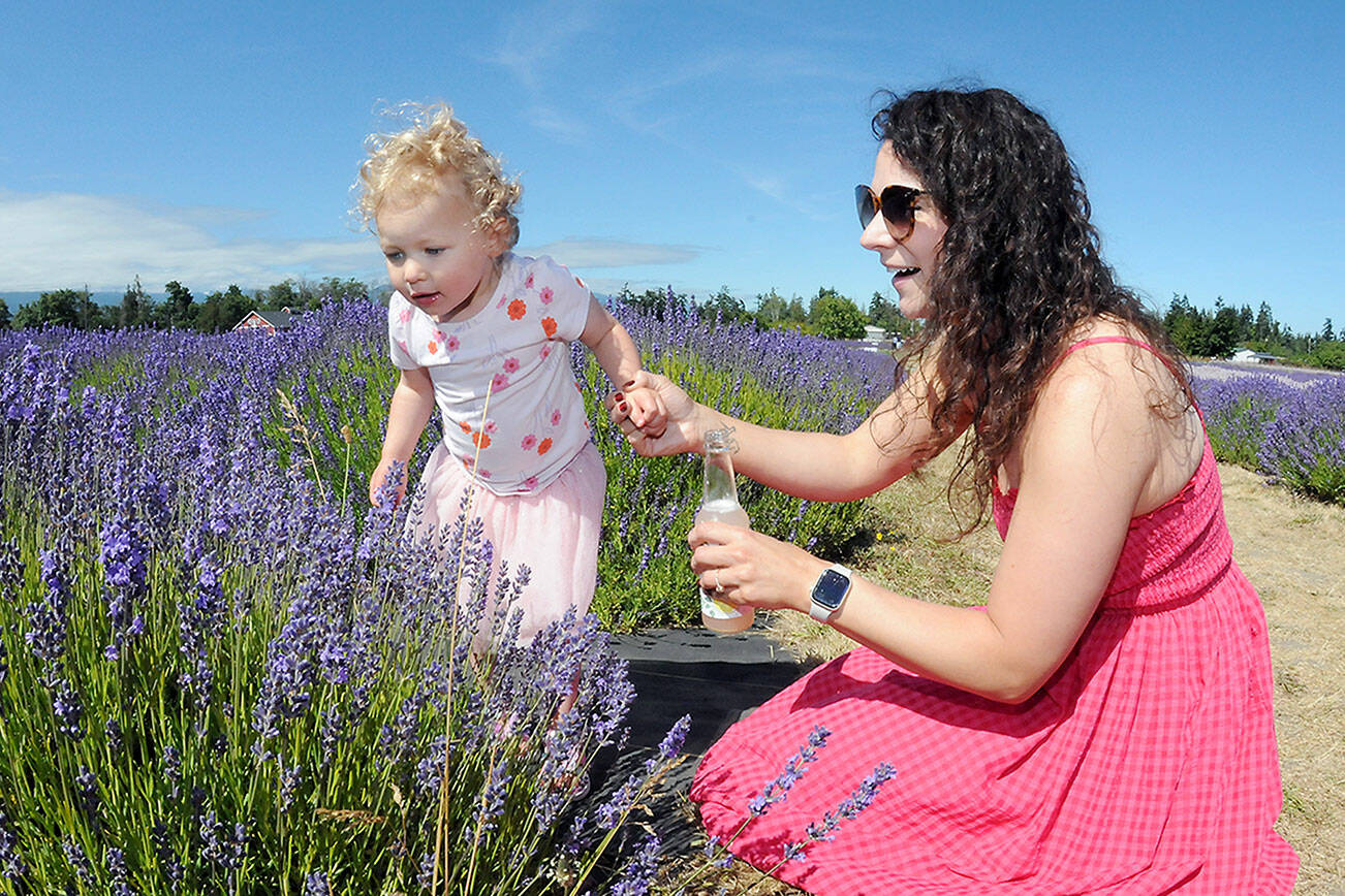 Kennedy Reynolds, 2, takes a look at a row of lavender plants with her mother, Chelsea Reynolds of Port Angeles, during a Saturday outing to B & B Family Lavender Farm west of Sequim. The farm will be a participant in this weekend’s Lavender Weekend, a celebration of all things lavender in Sequim and across the Dungeness Valley. (Keith Thorpe/Peninsula Daily News)