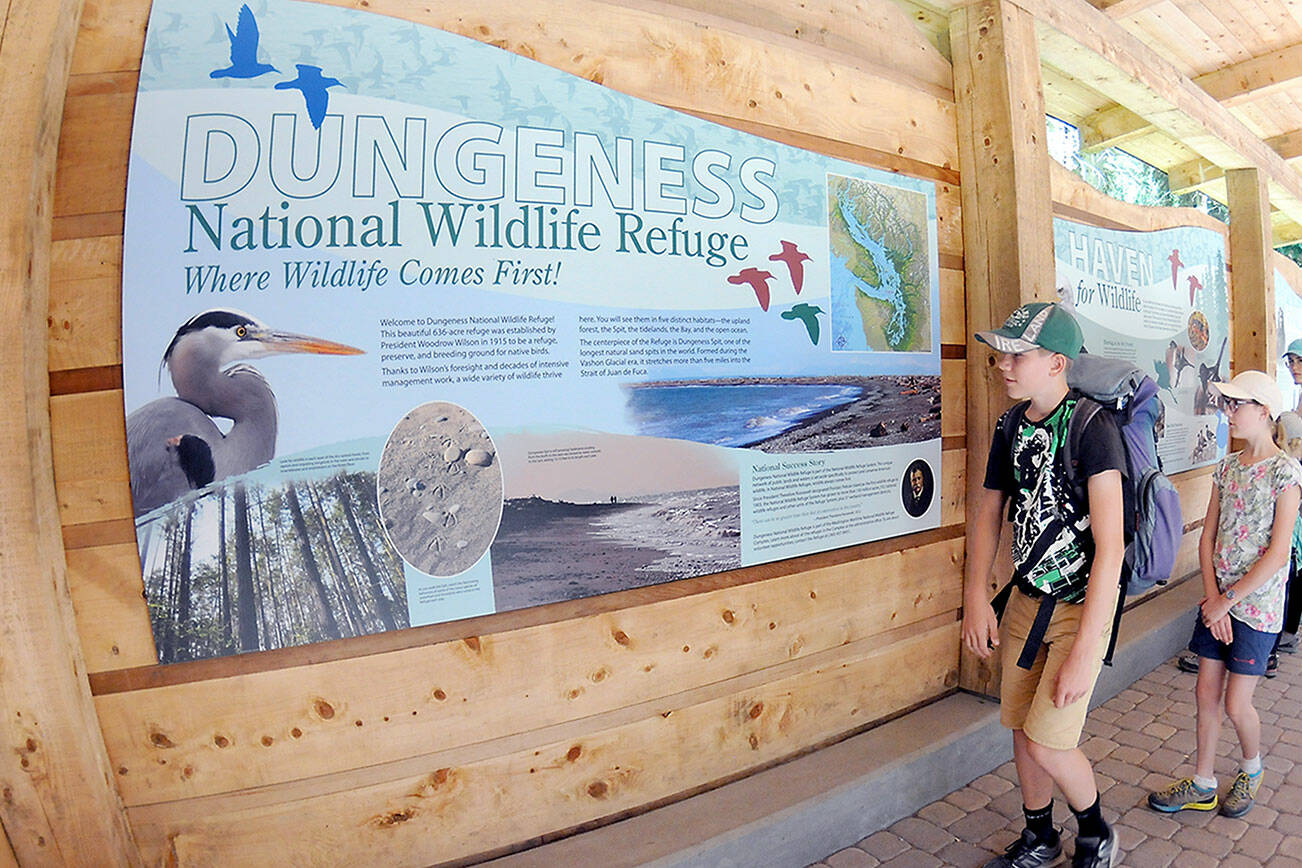 Marius Gerber, 13, front, and his sister, Tirza Gerber, 12, both of Zurich, Switzerland, examine information boards after a hike on Tuesday at the Dungeness National Wildlife Refuge northwest of Sequim. The main trail through the refuge provides access to Dungeness Spit and Dungeness Bay. (Keith Thorpe/Peninsula Daily News)