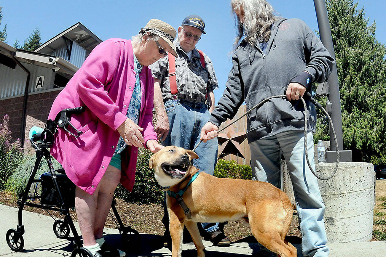 Patsy and Jan Yoder of Port Angeles meet up with Bowie, a mixed-breed canine on a leash held by Paul Stehr-Green, chairman of the Olympic Peninsula Humane Society board of directors, right, during Saturday’s adoption day at the Bark House Shelter east of Port Angeles. Numerous dogs were featured at the event, an effort to find forever homes for homeless animals. (Keith Thorpe/Peninsula Daily News)