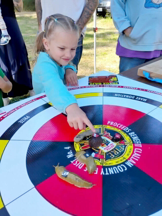 Maddie Rogers, 5, of Maddie’s Mushrooms in Joyce gives last-minute coaching to her slug Garth, which she trained for Saturday’s annual Extreme Slug Racing event. (Shannon Turner)