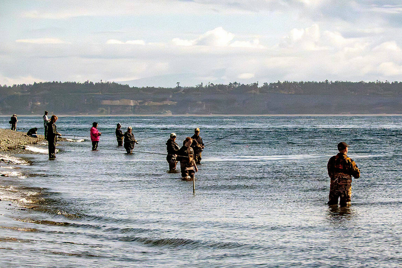 The pink salmon were running close enough to shore to attract at least dozen anglers to the beach at Fort Worden State Park in Port Townsend on Friday. (Steve Mullensky/for Peninsula Daily News)