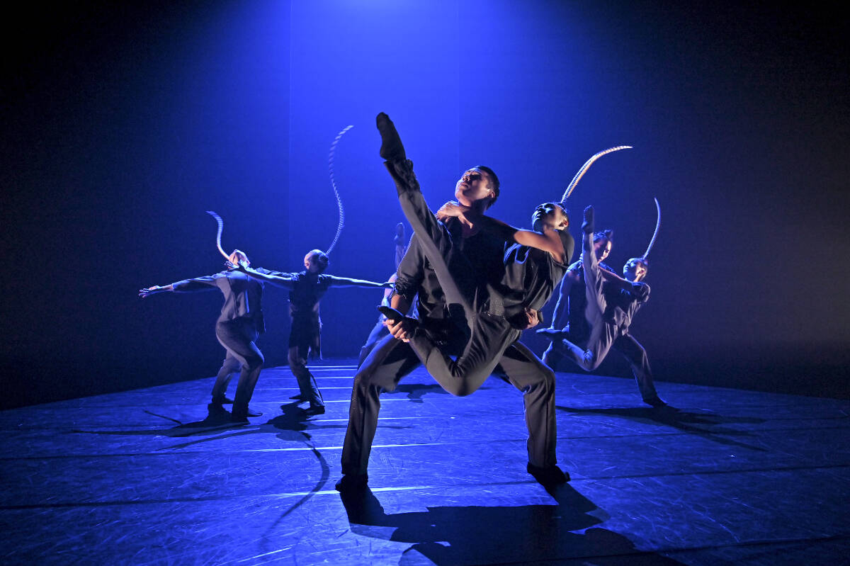 <em>Birdy</em> is a new contemporary dance work by Taiwan’s Hung Dance, coming to Field Arts & Events Hall Nov. 12. Courtesy Field Arts & Events Hall