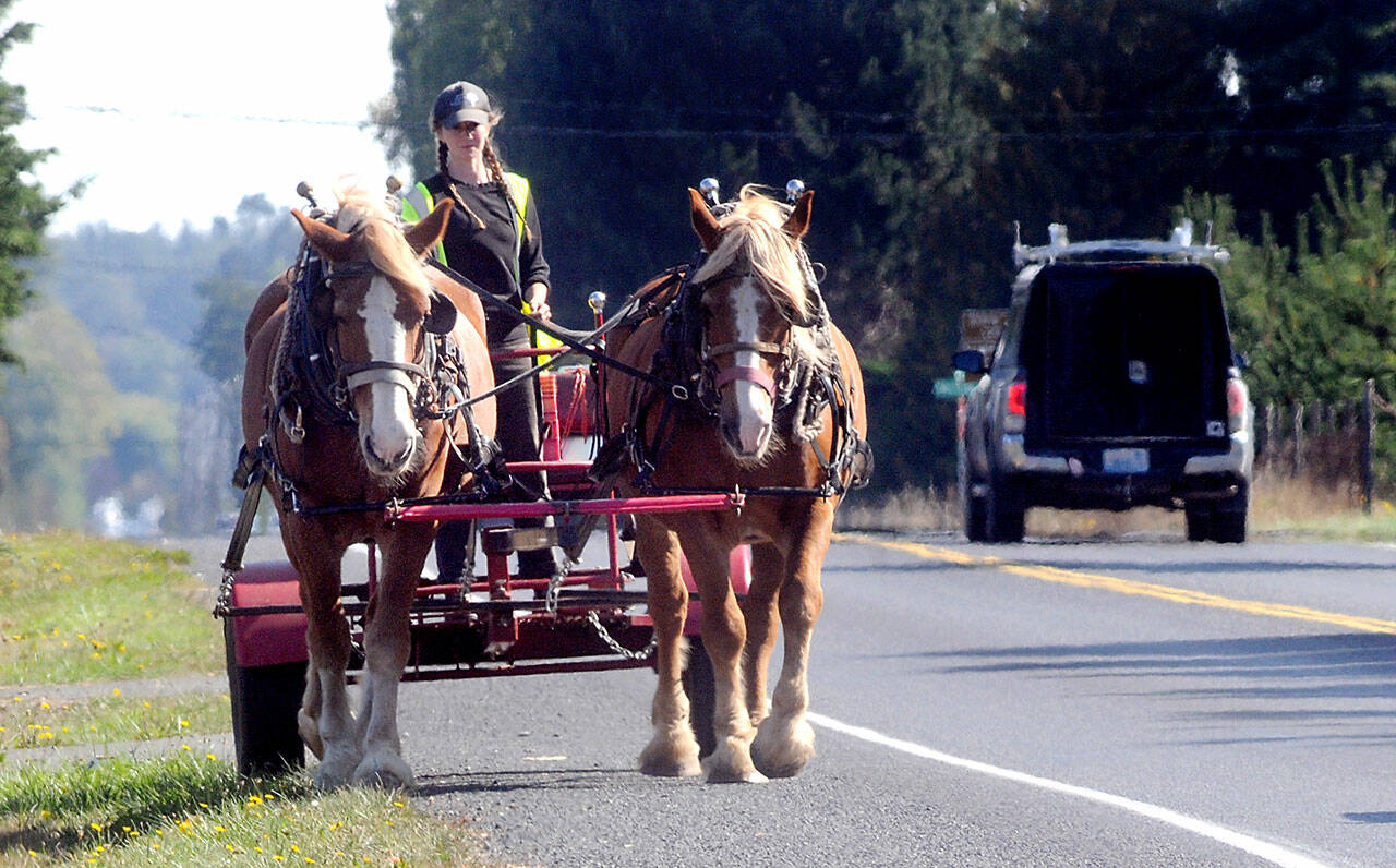Ada Belle of Sequim drives a team of draft horses, Jim and Jake, along the side of Old Olympic Highway west of Sequim on Saturday. She said the horses are used for a variety of farm tasks and were being moved from one field to another. (Keith Thorpe/Peninsula Daily News)