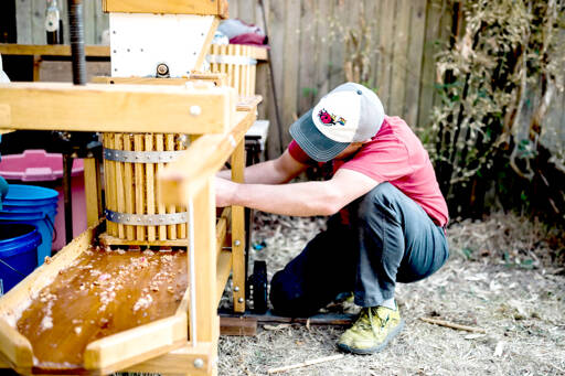 The Production Alliance will press cider on site, boiling it and making hot cider. (Sarah Wright)