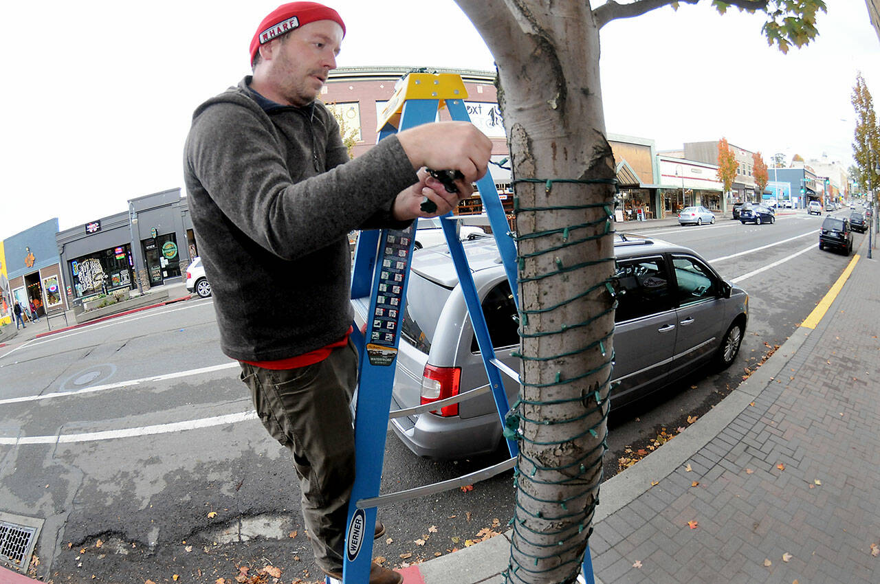 Sam Grello, executive director of the Port Angeles Waterfront District, strings holiday lights around a tree in the 100 block of West First Street on Thursday. Grello said 49 trees in downtown Port Angeles are targeted for lights, bringing a festive look to the area in time for the holiday season. Lighting this year is being sponsored by the Port of Port Angeles. (Keith Thorpe/Peninsula Daily News)