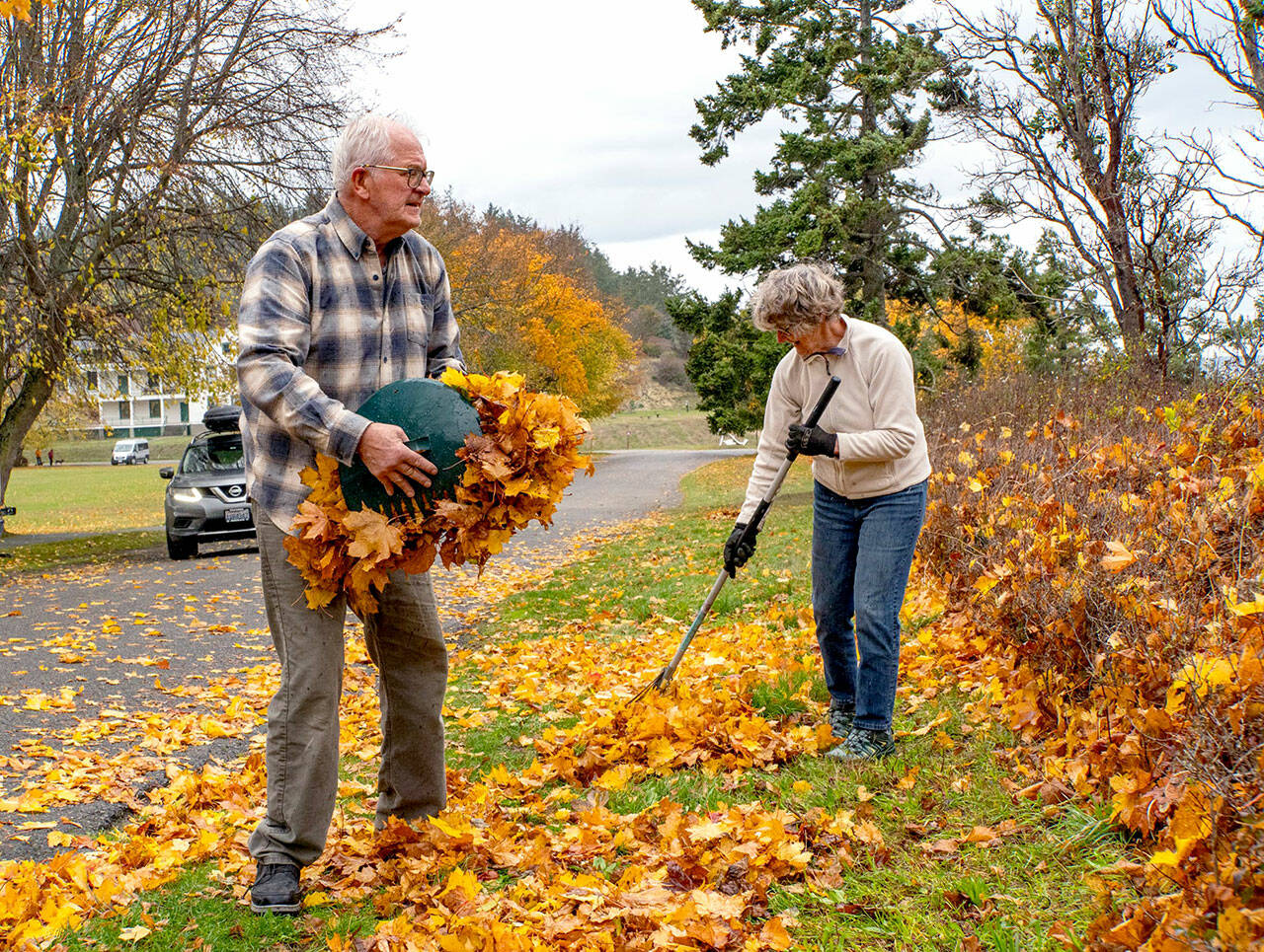 Brad Jensen and his wife MaryJo MacKenzie, both of Port Townsend, rake and gather leaves on Saturday at Fort Worden State Park. The couple planned to use the leaves as mulch in their garden. (Steve Mullensky/for Peninsula Daily News)