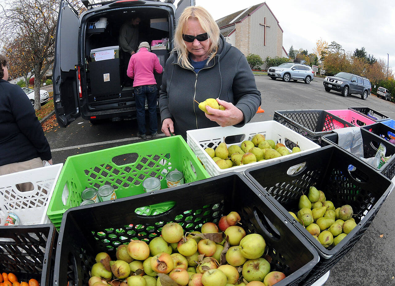 Linda Briley of Port Angeles sorts through bins of fresh fruit and vegetables at a traveling version of The Market, operated by the Port Angeles Food Bank, during a stop on Wednesday at Holy Trinity Lutheran Church in Port Angeles. The Mobile Market makes weekly stops at nine locations around Port Angeles and Joyce, offering free food supplies and meals for those in need. Times and locations can be found at www.pamarket.org. (Keith Thorpe/Peninsula Daily News)