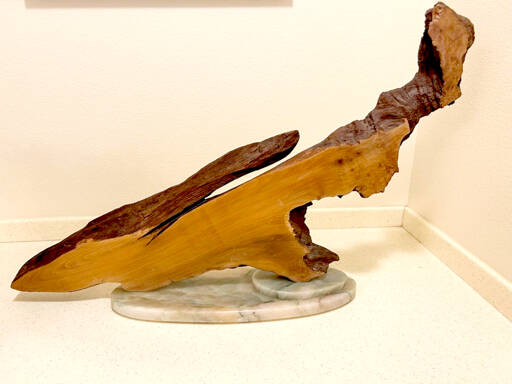 The Holiday Nature Mart will raffle this driftwood sculpture, “Denison of the Deep” by Tuttie Peetz.