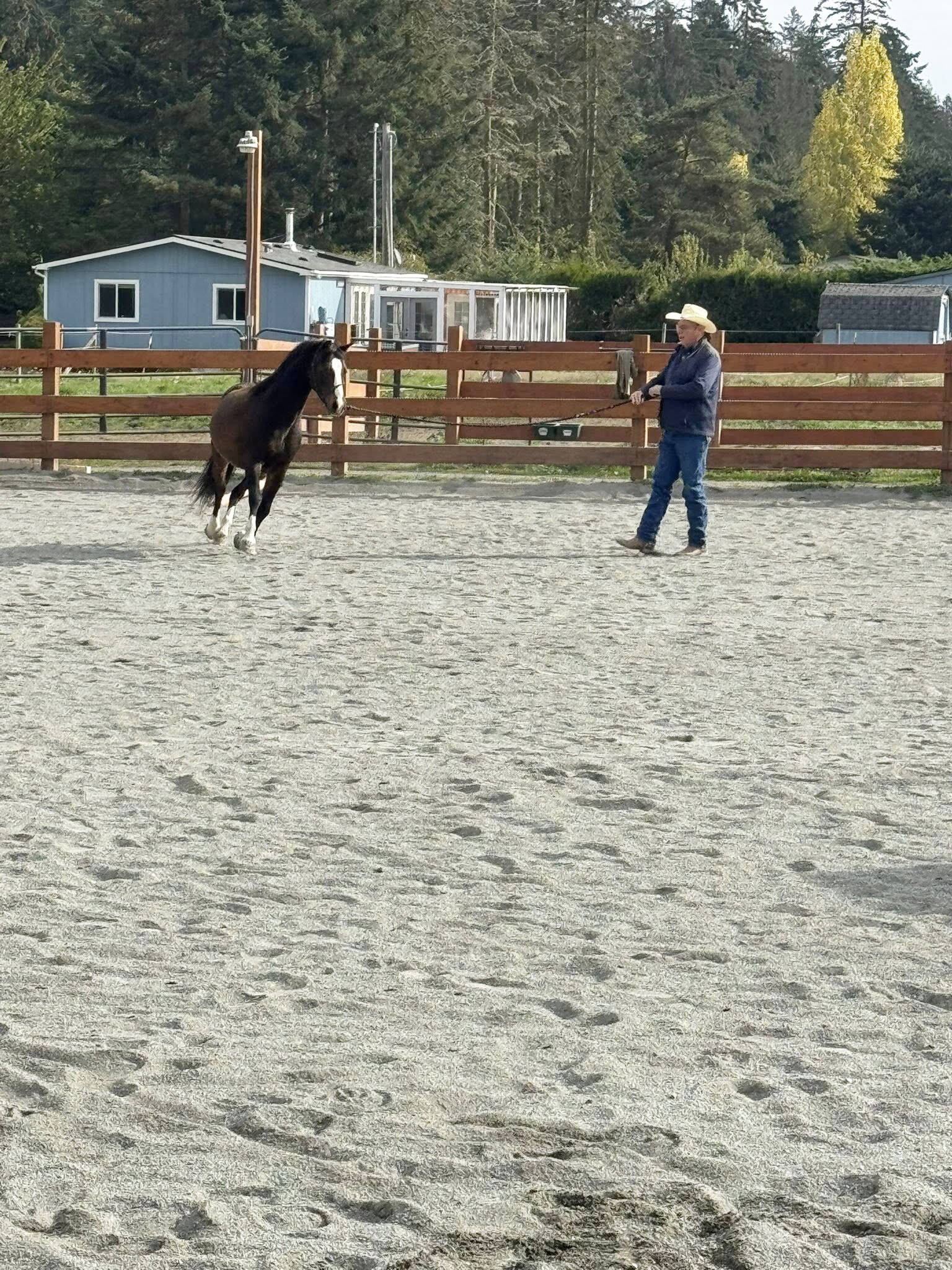 Horse clinician Greg Eliel works with Fox-Bell Farm’s rescue horse Teddy during a recent 3-day clinic. (Submitted photo)