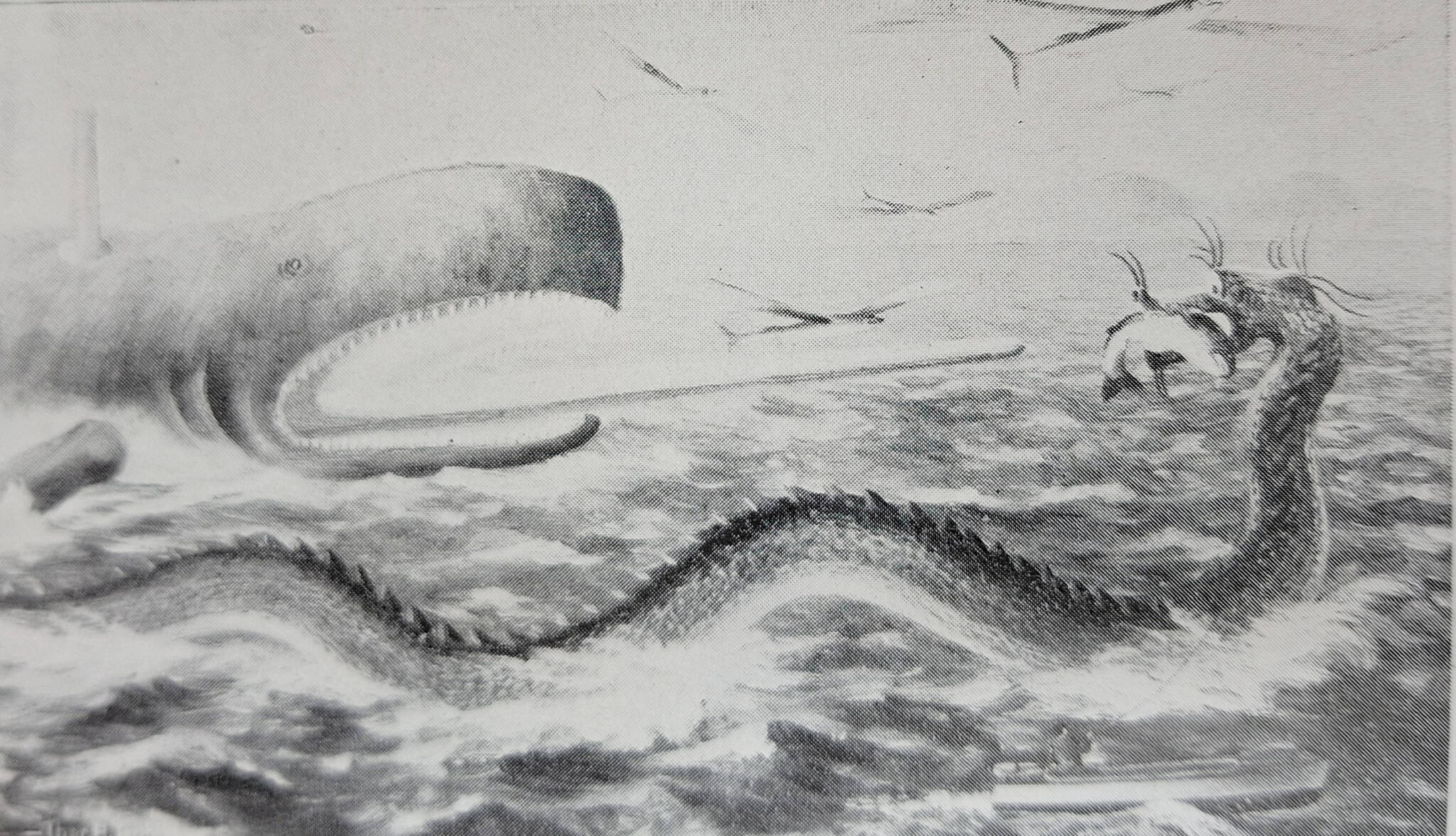 Thomas Guptill’s first sketch of Lewis’ story.