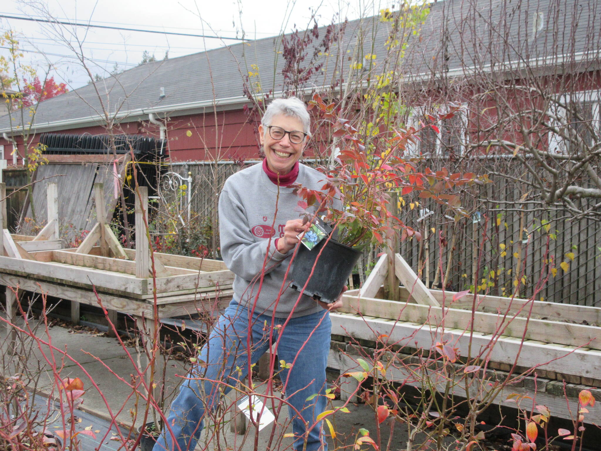 Beginning in February, Clallam County master gardeners Jeanette Stehr-Green, on left, and Audreen Williams will teach an eight-part series on growing berries in the home garden.