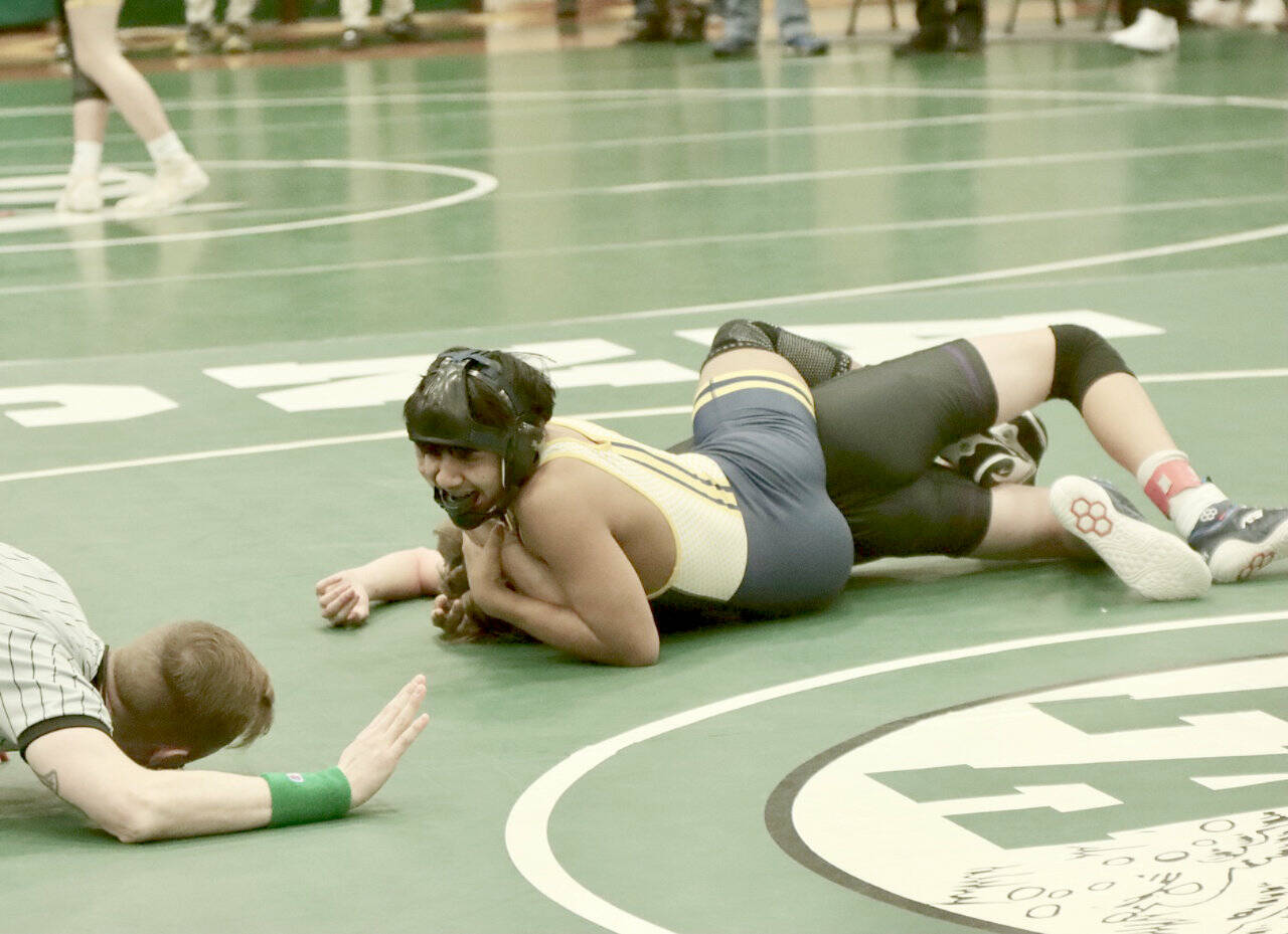 Forks’ Orlando Camacho waits for the official to call the match as he nears a pin against North Kitsap’s Albie Pedersen at 113 pounds. Camacho was eventually awarded a pin. Boys and girls from Port Angeles, Sequim, Forks and East Jefferson competed in the all-day tournament. (Dave Logan/for Peninsula Daily News)