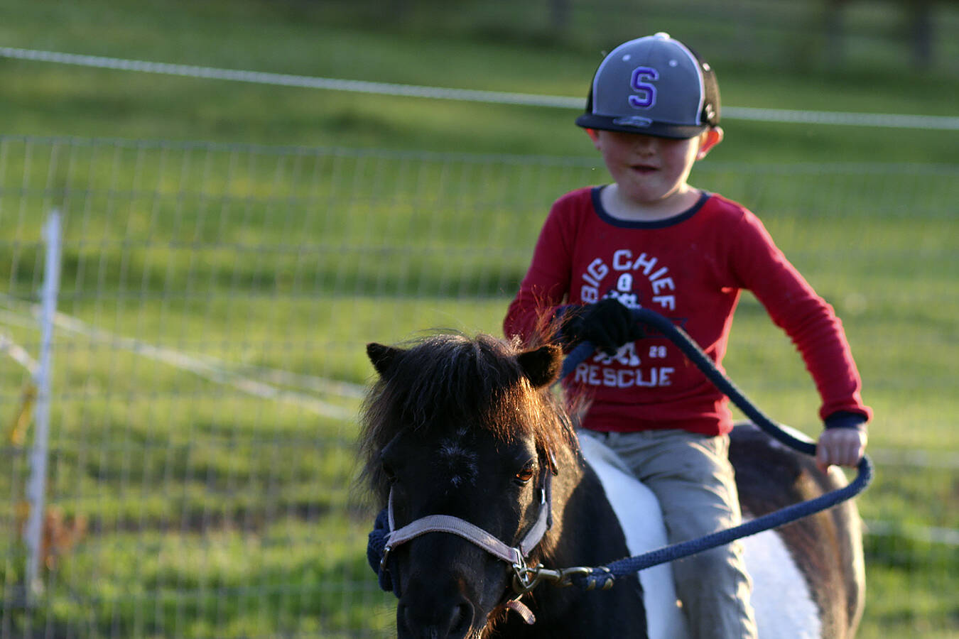 Isaac Stromberg, 5, having fun walking mini-horse Gypsy around her enclosed paddock. (Karen Griffiths/for Peninsula Daily News)